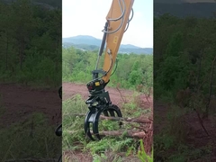 Древесина сражается